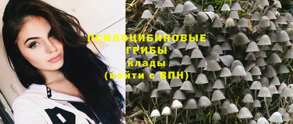 тгк Белокуриха