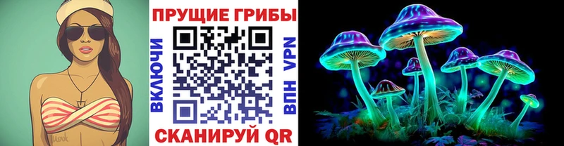 Псилоцибиновые грибы прущие грибы где продают наркотики Шилка