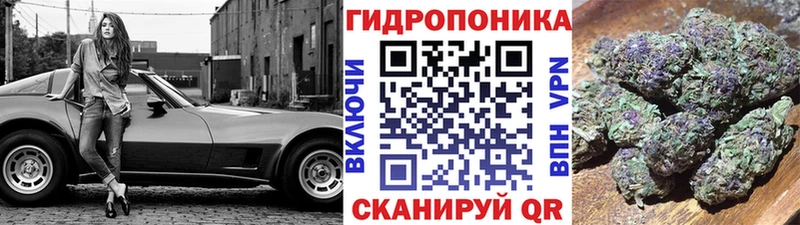 МАРИХУАНА семена  Шилка 